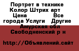 Портрет в технике “Колор-Штрих-арт“ › Цена ­ 250-350 - Все города Услуги » Другие   . Амурская обл.,Свободненский р-н